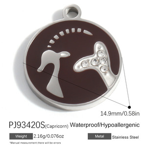 Breloques rondes personnalisées en gros avec logo, en acier inoxydable plaqué argent et émail, 12 signes du zodiaque, pour la fabrication de bijoux et bracelets DIY - Product Image 5