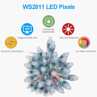 Noël extérieur étanche arc-en-ciel couleur Dc 5v 12v 12mm Ws2811 Ws2812 noir rvb adressable Led Pixel Module Led guirlande lumineuse