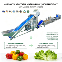Automatische fruit- en groentewasmachine, snijmachine, sterilisator, ontwateringsmachine met mixer en friteuse voor de productie van vers gesneden groenten en fruit