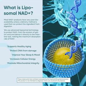 Precio al por mayor NAD + Suplemento Nad Resveratrol Plus Liposomal Nicotinamida Ribósido Nucleósidos Cápsulas Nad <span class=keywords><strong>1000mg</strong></span> Cápsula - Product Image 5