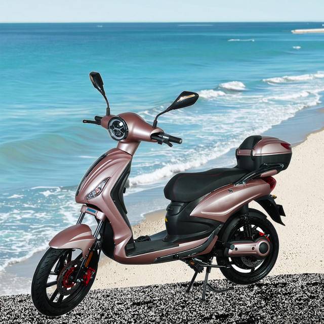 EEC COC L1e-A No License 48v 1000w 45KM/H Electric Moped Scooter with Pedals