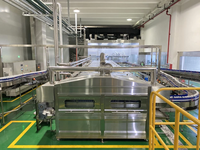 Pasteurisateur tunnel continu personnalisé avec refroidissement par pulvérisation et stérilisateur pour boissons gazeuses