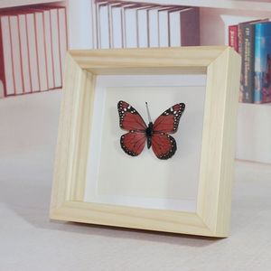 Boîte à spécimens de papillons, boîte en bois avec couvercle transparent, boîte de rangement pour spécimens d'insectes et de plantes, boîte de présentation de spécimens de papillons en bois - Product Image 2