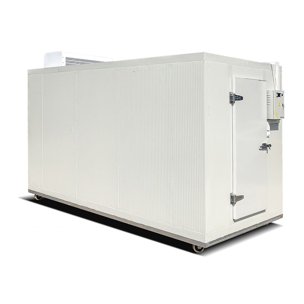 Used 40ft Cold Storage Containers For Sale