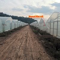 Serre Tunnel en Film Plastique de 8x30 Mètres, Commerciale Agricole, pour Tomates, Roses et Laitues, En Stock