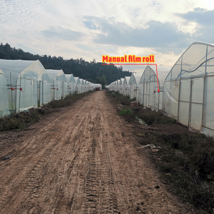Invernadero de Túnel de Plástico Agrícola y Comercial de 8x30 Metros <span class=keywords><strong>para</strong></span> Cultivo de Vegetales, Tomates, Rosas y Lechugas - Product Image 3
