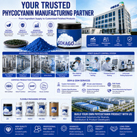 Fournisseur de poudre de phycocyanine de couleur bleue pour les usines agroalimentaires, pigment bleu naturel en vrac, programmes d'approvisionnement OEM/ODM