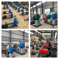 Machine à granulés de biomasse en coque de noix de coco durable STLW-200 11KW, moulin à granulés de bois automatique pour l'exportation vers l'Asie du Sud-Est