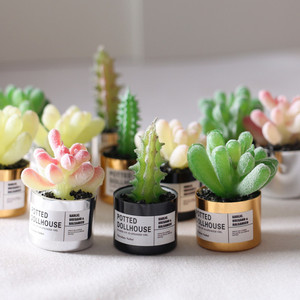 Modèle miniature <span class=keywords><strong>de</strong></span> plante succulente <span class=keywords><strong>en</strong></span> métal pour <span class=keywords><strong>maison</strong></span> <span class=keywords><strong>de</strong></span> poupée, matériau artisanal Ob11 GSC - Product Image 3
