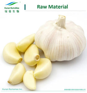 Sağlık gıda takviyesi için sarımsak ampul özü tozu - Product Image 6