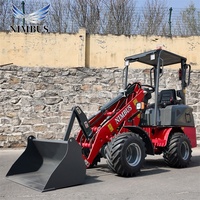 Caricatore Elettrico NIMBUS con Cabina Confortevole Approvata CE, Benna per Escavatore Opzionale, Sistema Idraulico di Sterzo