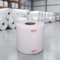 [KOSTENLOSE MUSTER] 30g--120g 100% Polyester Hydrophiles Spunlace Vliesstoff-Rolle (Nicht Gewebtes Material)