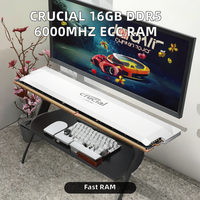 Crucial 16G DDR5 6000 MHz ECC Desktop Memory Module in Stock