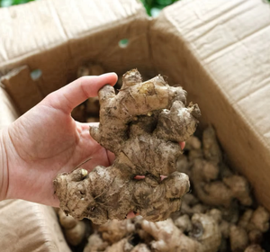 Sciroppo di Pere Tradizionale, Pasta Concentrata di Erbe, Crema per Alleviare la Tosse, Lattina da 280ml - Product Image 5