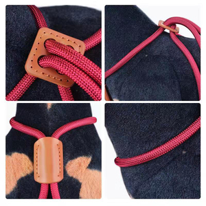 Harnais pour <span class=keywords><strong>chien</strong></span> de compagnie, accessoires de luxe, pour collier, tout-en-un, robuste, en nylon, couleur unie, une pièce - Product Image 2