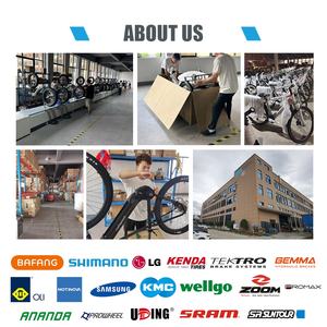 Bicicleta eléctrica de carga GEOBYKE personalizada, bicicleta eléctrica de carga de 48V <span class=keywords><strong>y</strong></span> 250W, la mejor bicicleta eléctrica de carga - Product Image 4