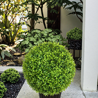 Vente en gros de boules topiaires réalistes d'herbe verte en plastique pour la décoration de la maison et du jardin