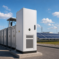 Armoire de stockage d'énergie 261 kWh 125 kW LiFePO4 à refroidissement liquide IP55 avec BMS intelligent CAN/RS485 pour la réduction des pics de consommation, compatible réseau (On-Grid/Off-Grid) BOX-E/OEM