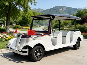 Vehículo Clásico Antiguo Premium, Diseño Espacioso, Fácil Manejo, Venta al Por Mayor para Clientes del Turismo Global - Product Image 1