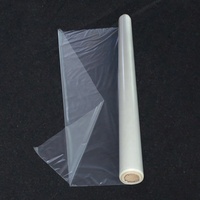 50um 0.05MM Membrane gonflable Semi-transparente Film TPU pour oreiller d'air