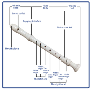 <span class=keywords><strong>Flauta</strong></span> Profesional de Plástico de 8 Orificios para Estudiantes de Instrumentos de Viento de Madera SD01 - Product Image 3