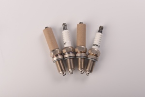 หัวเทียนรถยนต์ Garden Machines รุ่น 95195 YR7DE RA7YC DCPR7E - Product Image 4