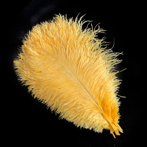 Plumas Grandes de Avestruz de Alta Calidad de 45 cm a 50 cm de Longitud, Plumas Teñidas de Colores para Vestuario de Escenario, Decoraciones de Boda y Proyectos de Manualidades - Product Image 6