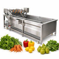 Machine de lavage commerciale pour légumes (peterselie, raisin, laitue iceberg, poivron, piment, poire, pomme, céleri)