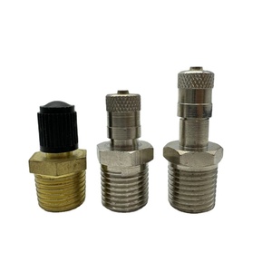 Đồng thau mạ niken thép không gỉ hexangular máy bơm không khí <span class=keywords><strong>Schrader</strong></span> van 1/8 "bspt chủ đề xe tăng van - Product Image 4