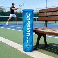 Balle de tennis pressurisée certifiée ITF ODEA, 57 % laine, rebond élevé, caoutchouc durable, pour matchs professionnels, sport, boîte portable de 4