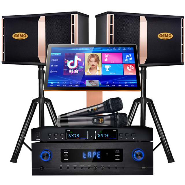 Professional 10 Inch KTV Woofer Speaker Set Family Karaoke Machine System with Party Sound Equipment for Karaoke Booth Parties