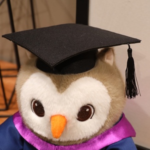 Peluche Gufo Dottore Personalizzato OEM da 9,5 Pollici, Mascotte Gufo Professor Personalizzata per Regalo Promozionale - Product Image 6
