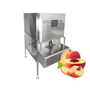 Peladora de Frutas Automática Industrial para Mango, Durazno, Naranja, Limón, Caqui, Manzana y Piña - Product Image 2
