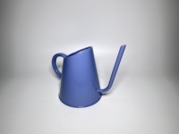 Arrosoir vintage en acier galvanisé durable de 900 ml pour plantes d'intérieur et d'extérieur