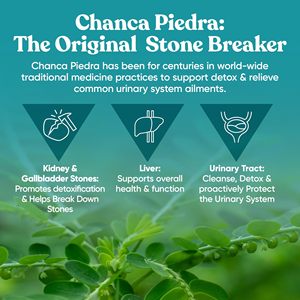 El suplemento Stone Breaker apoya la salud y la limpieza del tracto urinario 60 cápsulas para hombres y mujeres Cápsulas Stone Breaker - Product Image 6