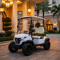 Carrito de Golf Eléctrico para 2 Personas, Motor Asíncrono de CA de 4kW, Freno Hidráulico de Doble Circuito de 60V, Suspensión MacPherson, Neumáticos Todoterreno