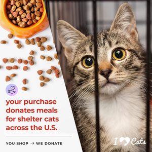 Vườn mèo tượng với năng lượng mặt trời đèn lồng điêu khắc động vật bức tượng mãi mãi người giám hộ của tôi thiên thần mèo tưởng niệm vườn năng lượng mặt trời ánh sáng Quà Tặng - Product Image 3