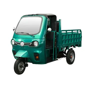 新设计电动汽车三轮装载机货物摩托电动迷你卡车环保电动货物三轮车