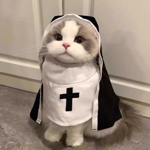 <span class=keywords><strong>Monja</strong></span> mascota disfraz <span class=keywords><strong>de</strong></span> Halloween gatito Cosplay traje <span class=keywords><strong>de</strong></span> transformación perro pequeño Internet celebridad foto divertido peculiar poliéster - Product Image 1