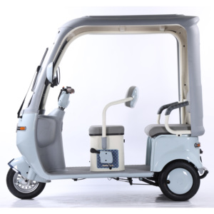 Vendita diretta della fabbrica altri motorizzati 3 ruote Scooter elettrico triciclo per adulti Trike 3 ruote moto elettrico - Product Image 5