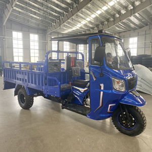 Çin kargo benzinli üç tekerlekli bisiklet 200cc 250cc 300cc motor <span class=keywords><strong>peru</strong></span>'da 3 tekerlekli üç tekerlekli bisiklet - Product Image 1