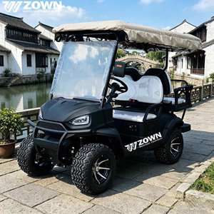 Carrito de golf eléctrico utilitario personalizable con techo para resort y parque de atracciones - Product Image 1