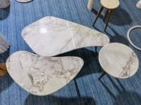 Table basse élégante en marbre, options de couleur noir/vert/brun, décoration élégante pour la maison