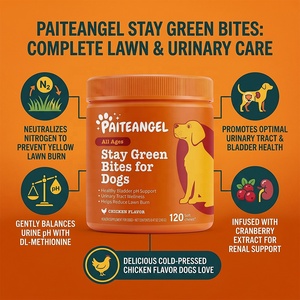 Complément Urinaire pour Chien à Croquer Doux DL-Méthionine Soulagement des Brûlures à l'Herbe Vinaigre de Cidre de Pomme Soutien Urinaire Marque Privée 120 unités - Product Image 1