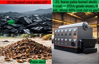 Ketel Uap Industri Energi Termal Rendah Horizontal Faith 5 Ton 1.25Mpa Berbahan Bakar Batubara Biomassa Serpihan Kayu Pelet untuk Pabrik Tekstil