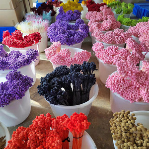 Vente en gros de matériel de bricolage préservé boutons Craspedia Flowers Everlasting Billy pour la décoration de mariage - Product Image 6