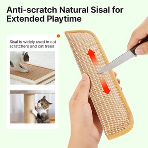 Giocattoli per Gatti con Erba <span class=keywords><strong>Gatta</strong></span> Biologica, Materiale Morbido in Sisal, Giochi Interattivi per Gattini, Divertenti e Stimolanti per Gatti Noi - Product Image 4