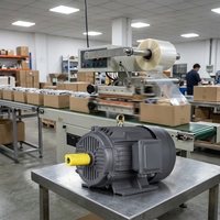 Moteur électrique asynchrone à haute efficacité et bonnes performances pour machine de scellage