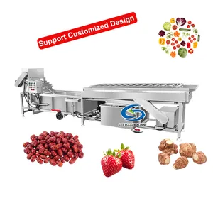 Factory Multi-function Fresh Strawberry Processing Equipment Washing Fruit Washer Price