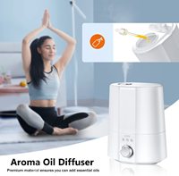 Diffuseur d'huile d'arome noir blanc sûr et facile à nettoyer Humidificateur ultrasonique de capacité 2.5L